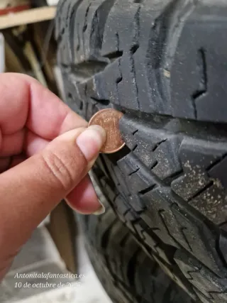 Ruedas - Neumáticos 4X4 todoterreno
