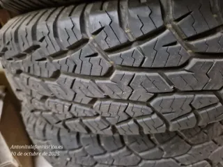 Ruedas - Neumáticos 4X4 todoterreno