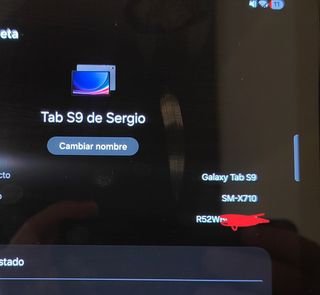 Samsung Galaxy Tab S9 + Spen y funda de regalo 