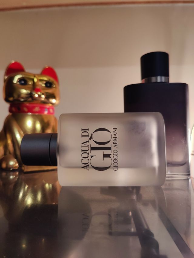 Acqua di Gio Parfum y EDT Giorgio Armani