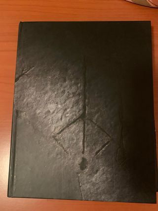 Guida Bloodborne Ufficiale Italiana