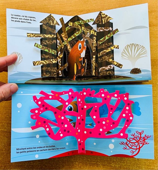 Las casas de los animales Pop Up Phillippe Ug