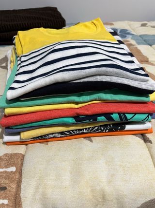 Lote Camisetas Talla L Manga Corta y Larga