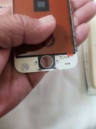 Pantalla iPhone 5 Blanca