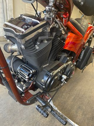 Harley Davidson Única