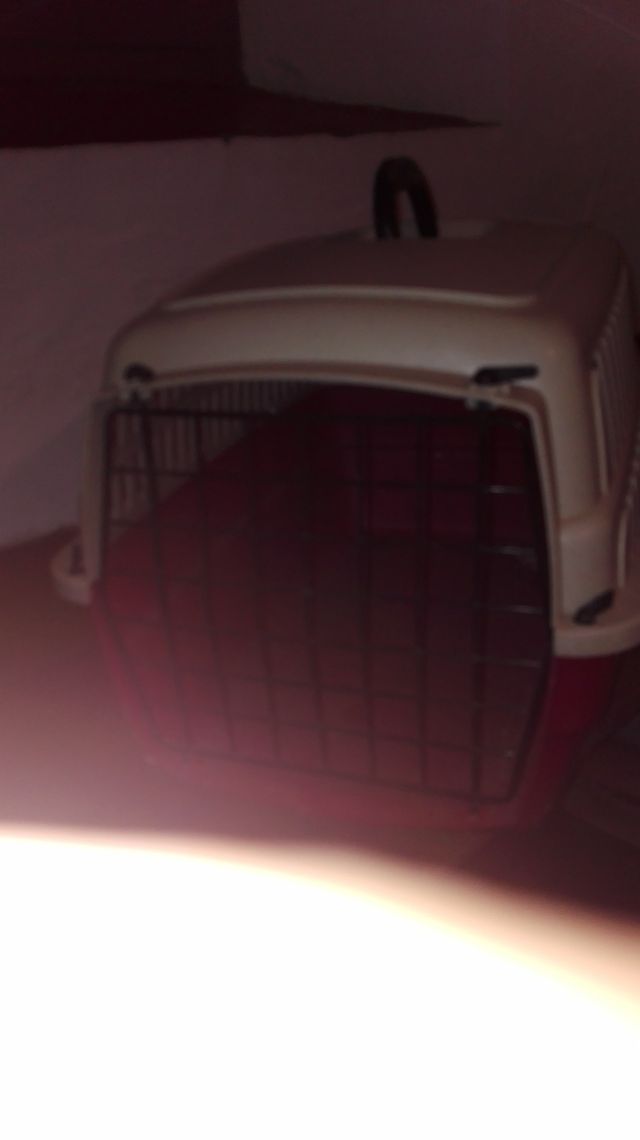 Transportín para mascotas beige y rojo