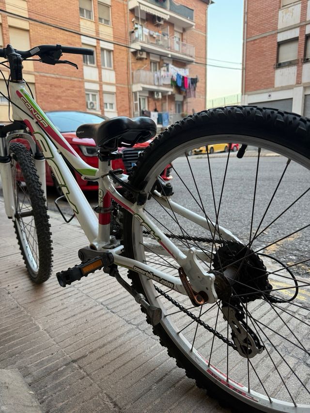 Bicicleta infantil AFX