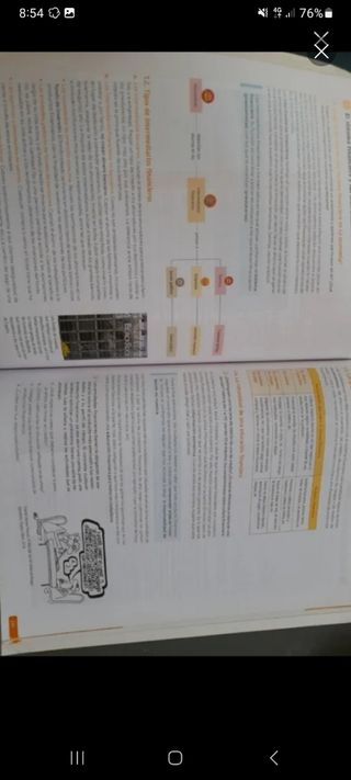 Economía. 1 Bachillerato. Revuela