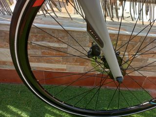 Bicicleta Specialized Carbono 