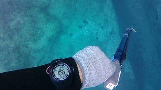 RELOJ Apnea, Pesca submarina, Buceo Marca DiVONEA