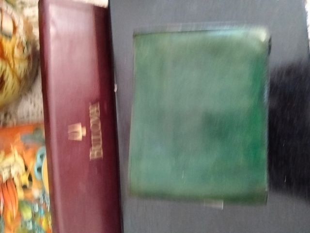 Portafoglio Rolex Verde