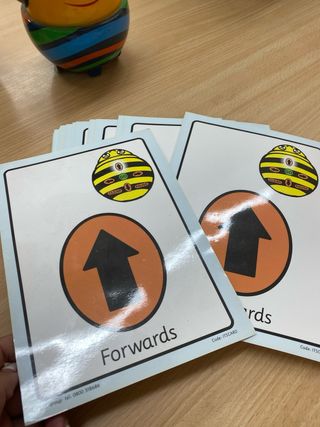 Set 5 Robots Educativos Bee-Bot