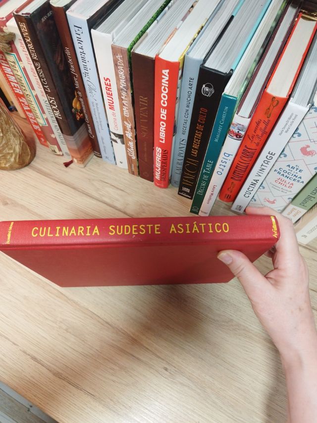 CULINARIA SUDESTE ASIATICO (Spanish Edition)