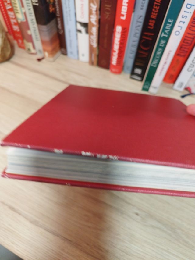 CULINARIA SUDESTE ASIATICO (Spanish Edition)