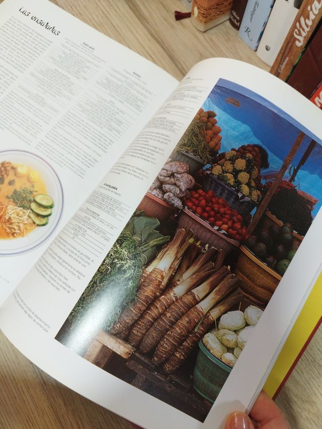 CULINARIA SUDESTE ASIATICO (Spanish Edition)