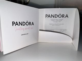 Pulsera Pandora 17 cm + charm