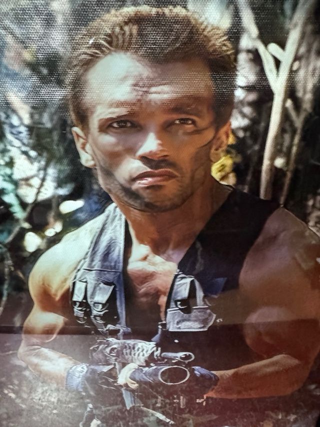 Cuadro Predator Arnold Schwarzenegger