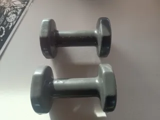 2 Pesas 3 kg (6.6 LBS)