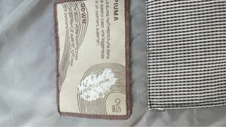 Plumas ligero con capucha azul