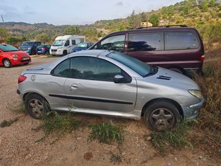 Peugeot 206 2001