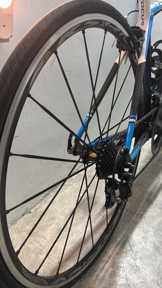 Bicicleta Carretera Focus Cayo - talla XS