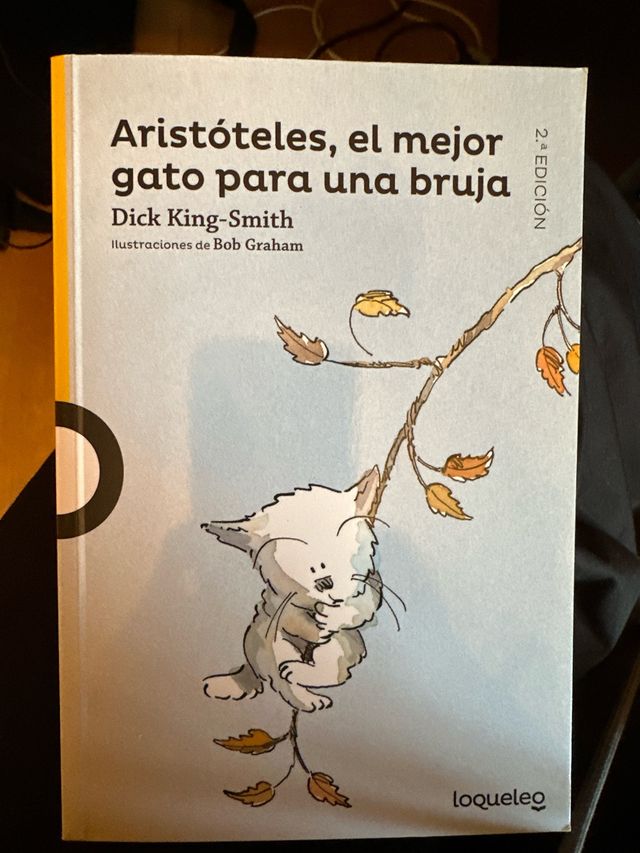 Aristóteles, el mejor gato para una bruja