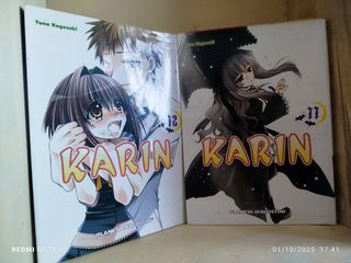Karin nº 11/14 (Manga No) (Spanish Edition)