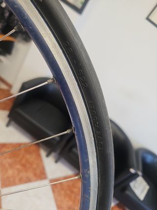 Rueda de Bicicleta Michelin Dynamic Sport