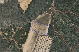 Terreno en venta en Yecla