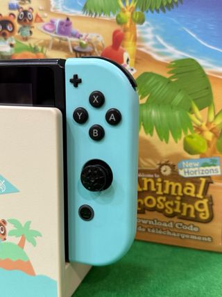 Nintendo Switch Ed. Animal Crossing
