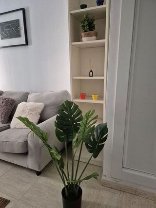 Estudio en alquiler en Perchel Norte - La Trinidad en Málaga