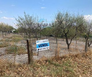 Terreno en venta en Navalmoral de la Mata