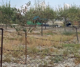 Terreno en venta en Navalmoral de la Mata