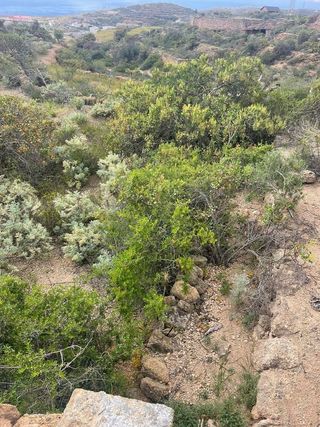 Terreno en venta en Arico