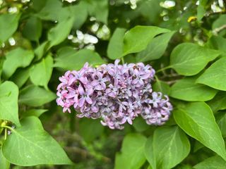 Terreno en venta en Jaca