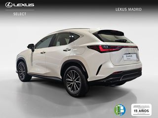 Lexus NX 350h Business City 2WD