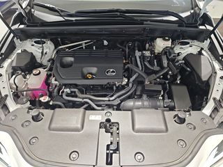 Lexus NX 350h Business City 2WD