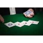 Mazzo Carte Fate Chip Playing Cards Nuovo
