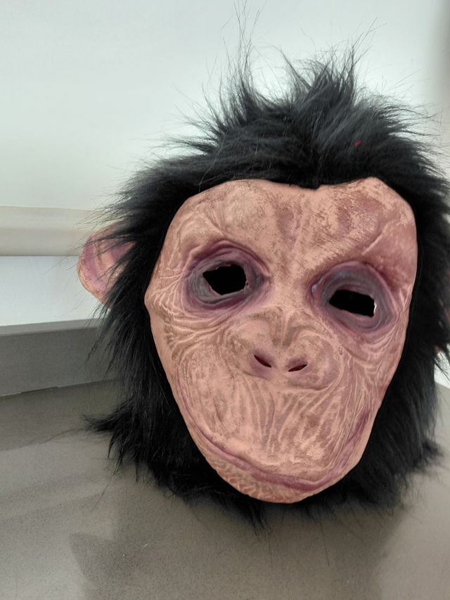 Disfraz Mono Halloween