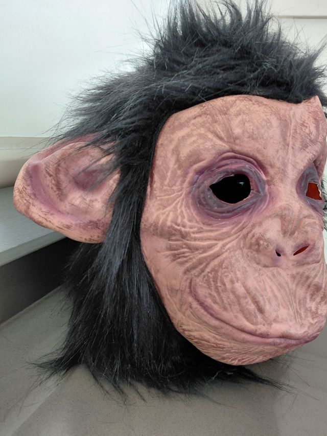 Disfraz Mono Halloween