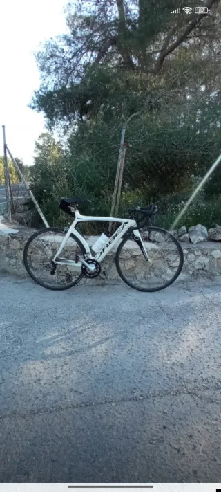 Bicicleta Orbea carretera blanca