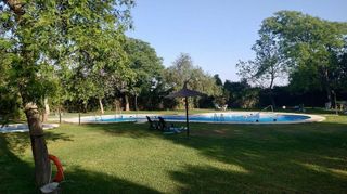 Terreno en venta en Almensilla