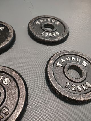 Set 4 discos Taurus 1,25 kg
