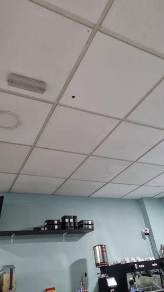 Manitas pladur pintura albanil electricidad 