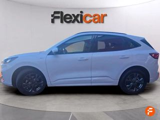 Ford Kuga ST-Line 1.5 EcoBlue 88kW (120CV)