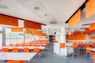 Oficina en alquiler en Parque Empresarial en Rozas de Madrid (Las)