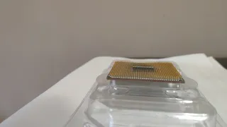 Procesador AMD Ryzen 5 5600X