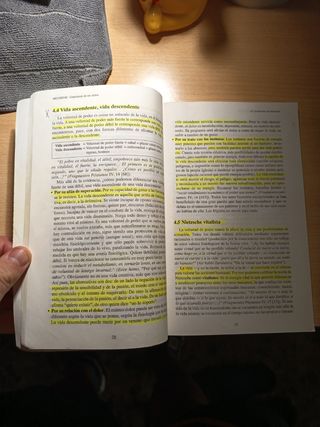 Nietzsche. Crepúsculo de los ídolos (Spanish Ed...