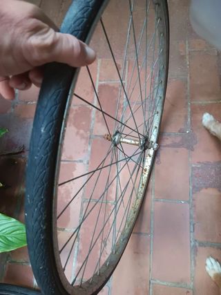 Rueda Fixie Miche Pistard Primato