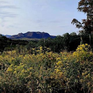 Terreno en venta en Cártama